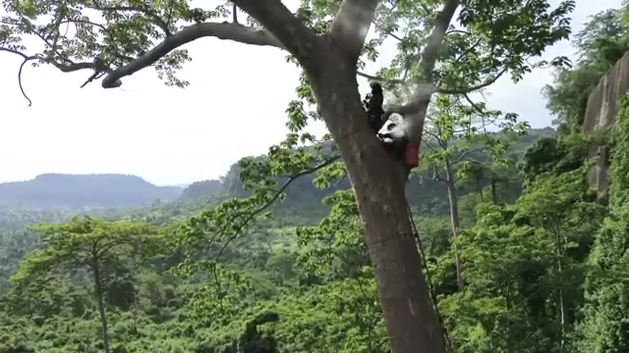 Advanture