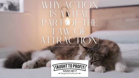 Why Action Is A Vital Part Of The Law Of Attraction! The Value Of Work!