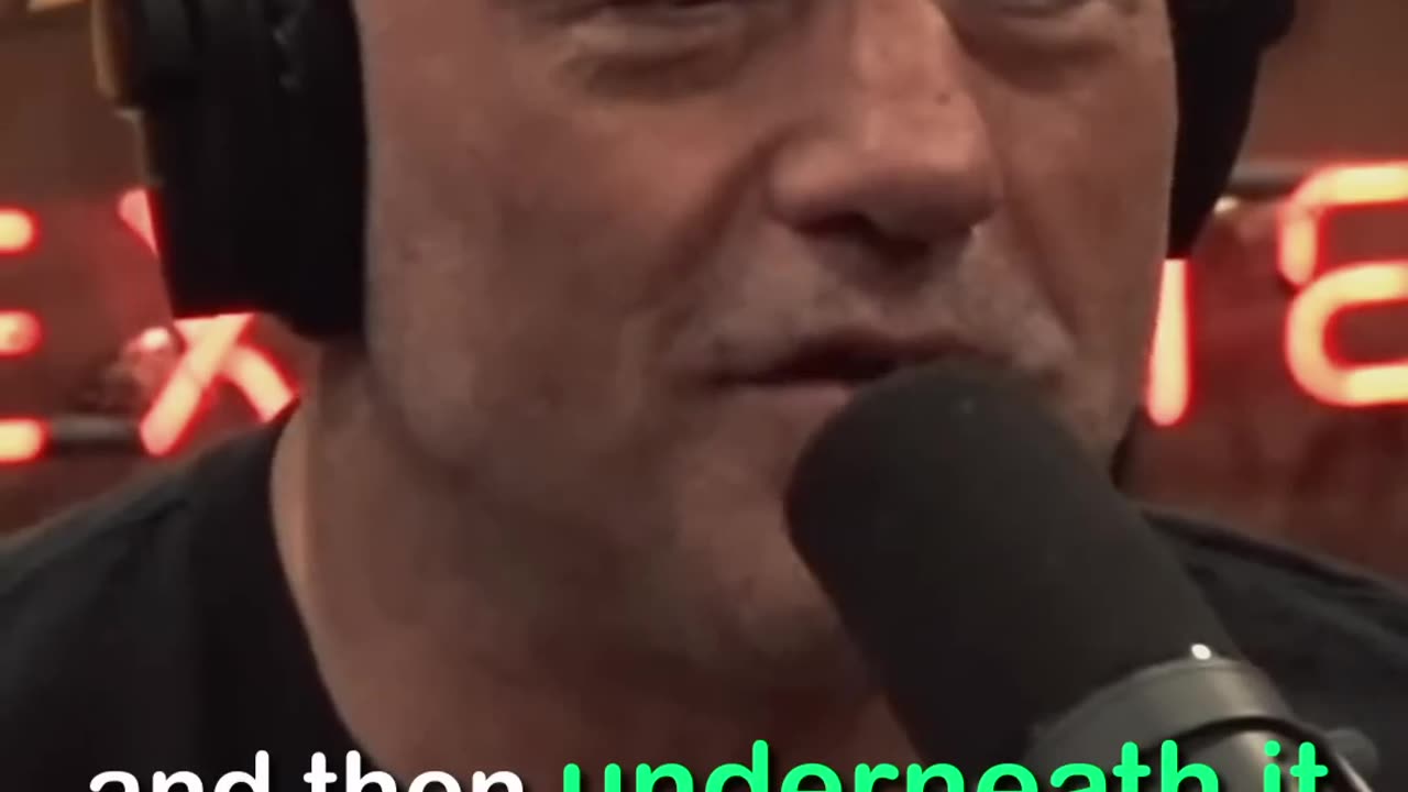 DID ELON CHANGE TWITTER FOR BETTER?