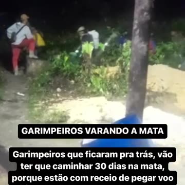 Garimpeiros começam a deixar Terra Yanomami