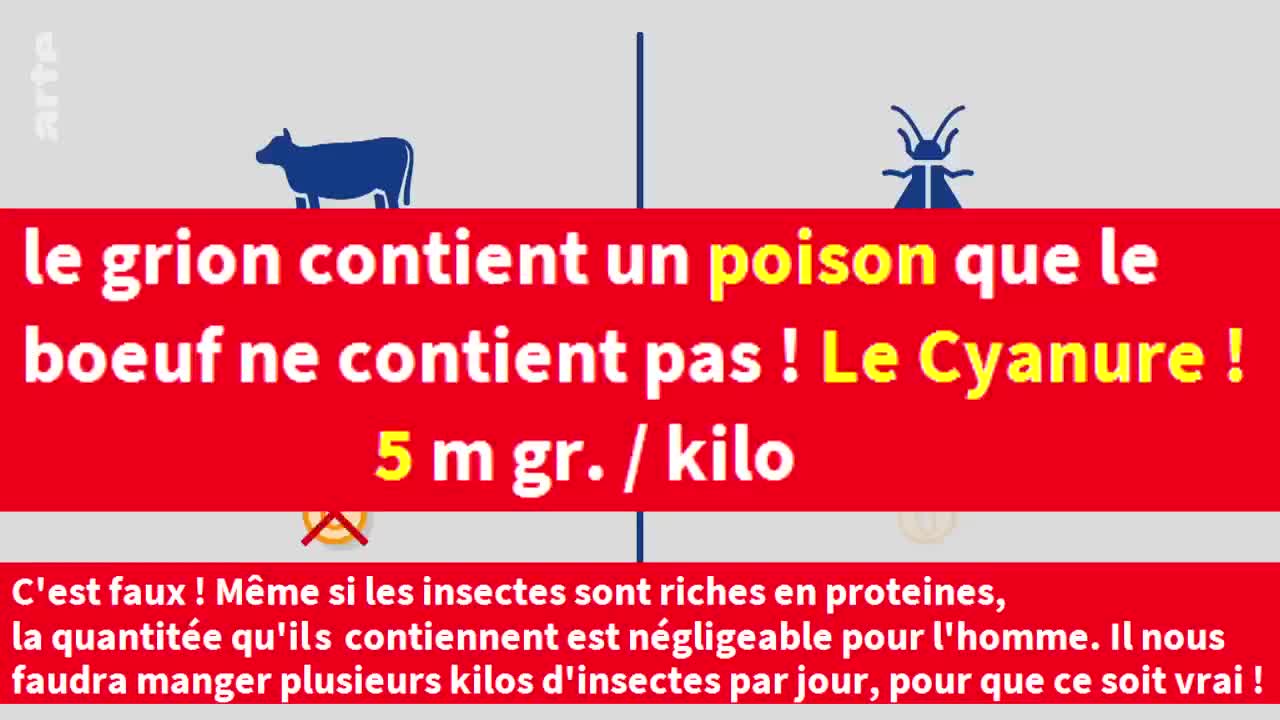 De l'Arsenic et du Cyanure dans les Insectes pour la nourriture 2023 January 31st, 2023