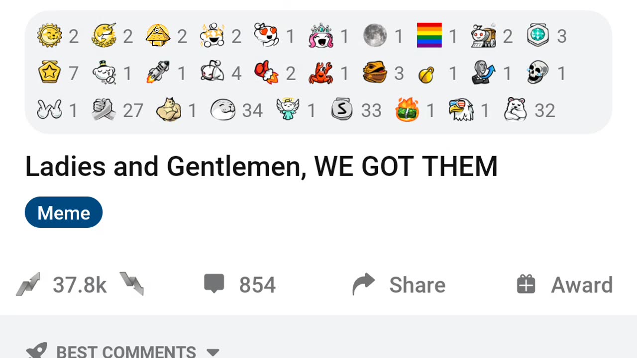 Trump Elon MEME Video