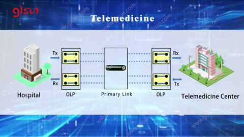 What are the applications of GLSUN optical switches?