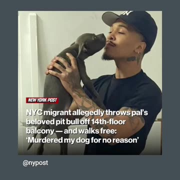 This sick person need to be deport or gived death penalty killing a dog 🐕 so am upset 😠😡🫣👎11/29/24