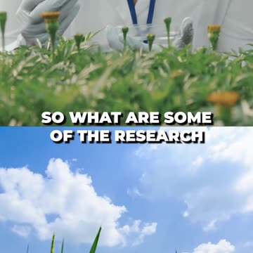 Here’s What Researchers Know About Wild Rice So Far