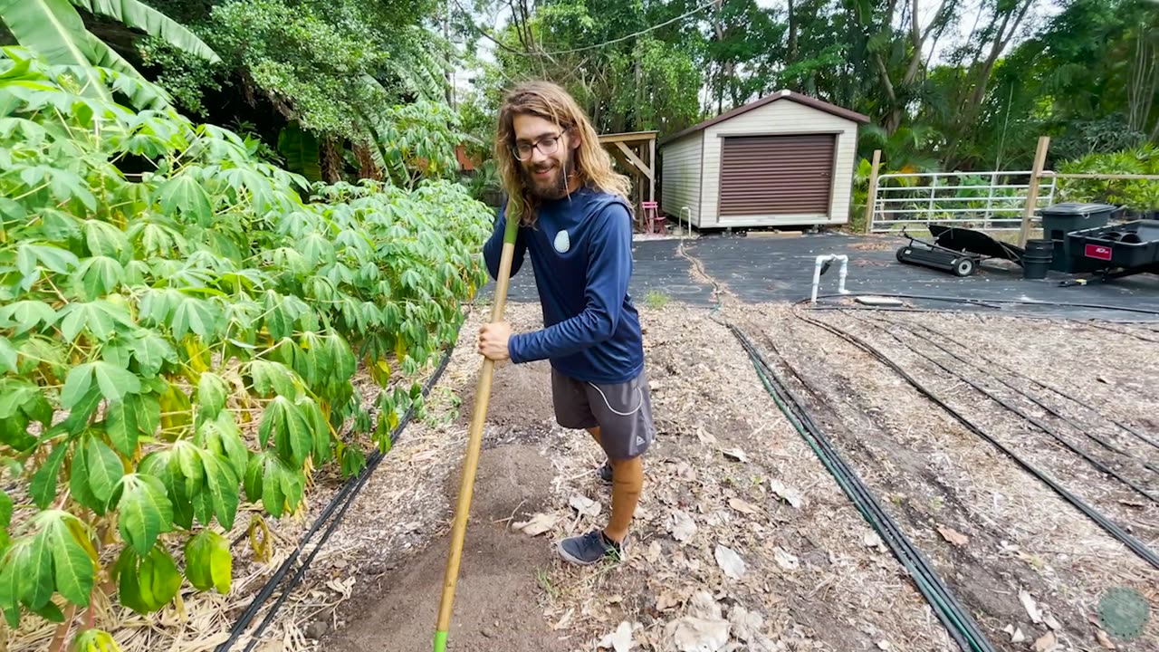 Abundance Vlog ~ Episode 5 TURMERIC! Check it Out!