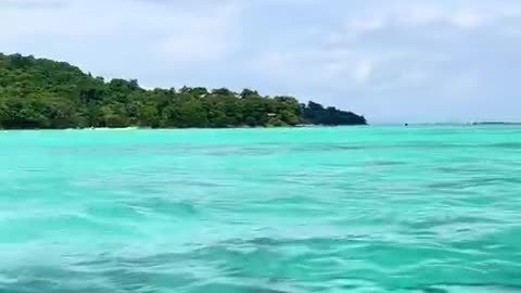 Beauty of Nature