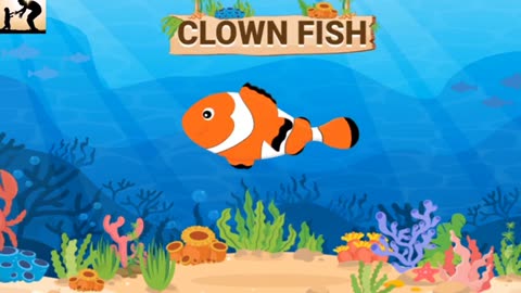 Cartoon video Sea Animals for Bengali Kids 👀 Chotoder movie animal name learning #seaanimals #kids