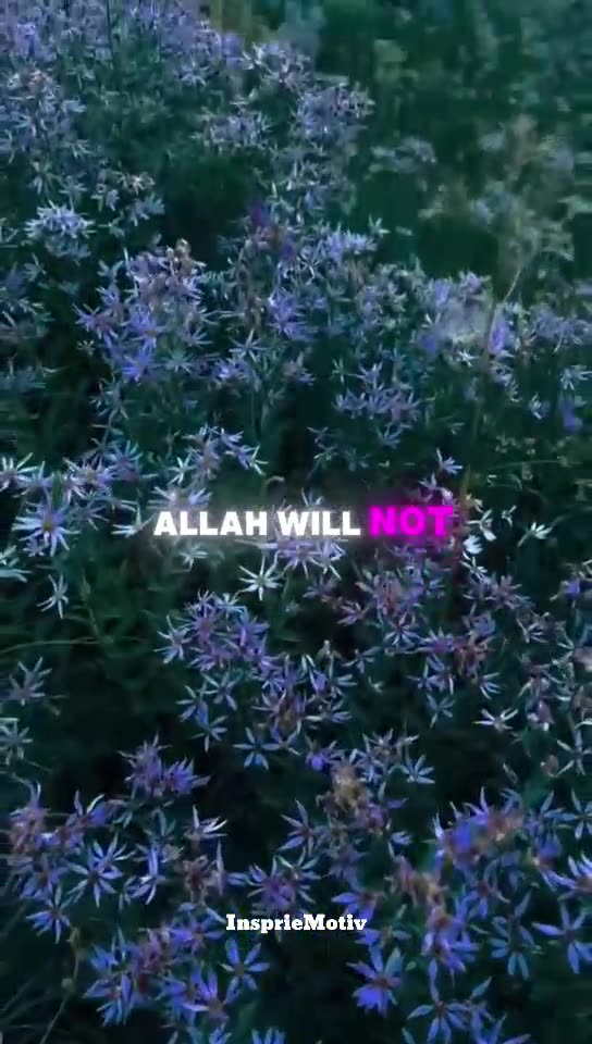 Swipe Faster! #muftimenk #muslim #allah #quran #islam #modern #content #socialmedia #tech #online