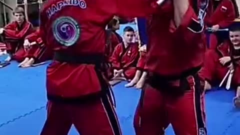 Hapkido