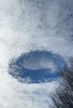 Δάσος Χαιδαρΐου απόκοσμο βίντεο