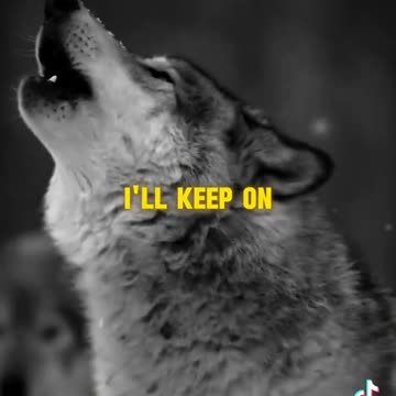 REPENTANCE IN THE BELIEVER'S LIFE - DAILY DEVOTIONAL ❤️