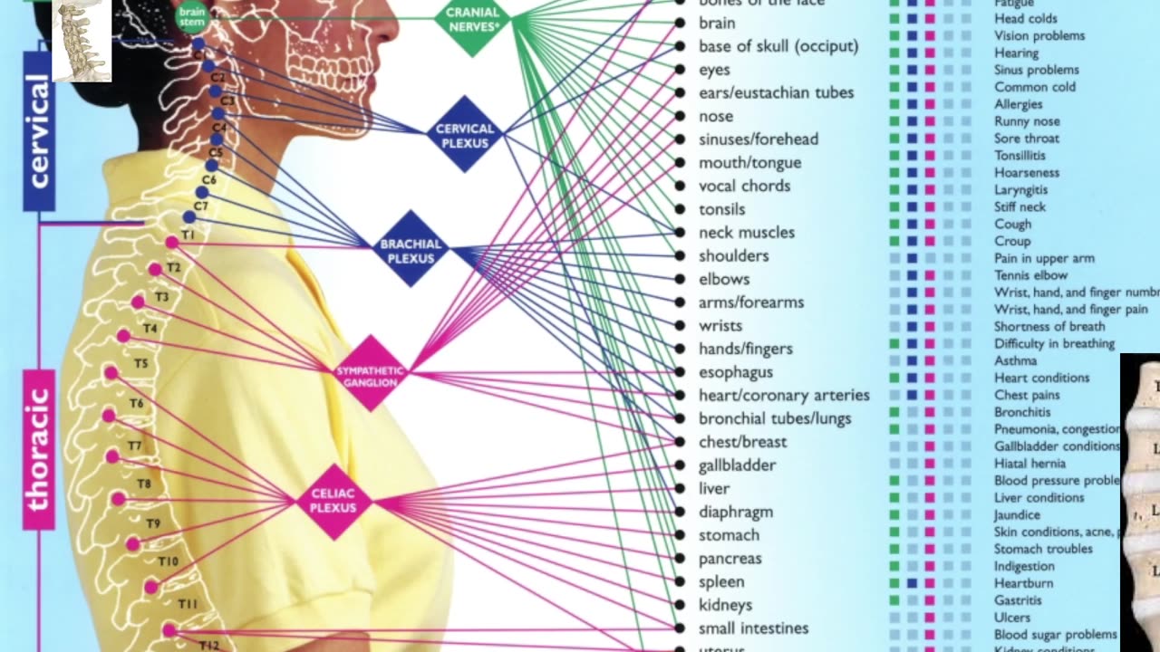 The Matrix: The Body and Disease (it's not what you think)