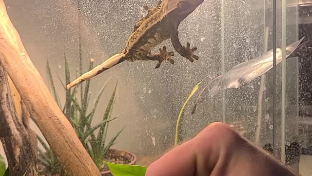 Introduction to Loki