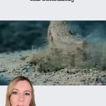 Crop Circles in the Ocean?