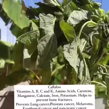 @sunpeople_1 - How to reverse pre-diabetes and non insulin-dependent type 2 diabetes?