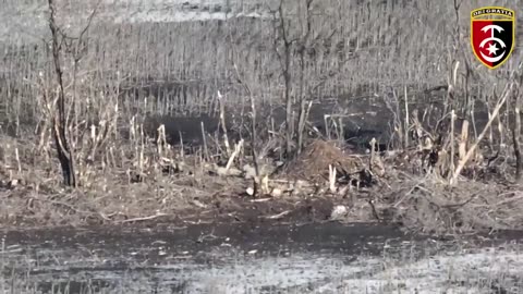 Russians Try to Hide in the Treeline(Doesn't Work)