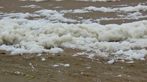 Sea Foam