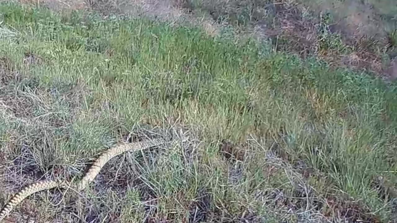 Another Day in Rural Eastern Colorado