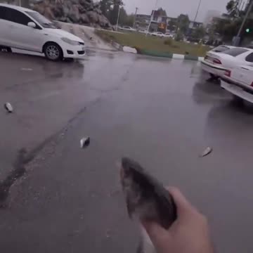 Fish Rain in Iran - Fish Fall from the Sky