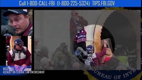 Capitol Violence AFO #231