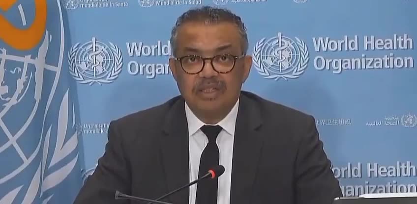 Tedros i OBSH-së: Ne duhet të përgatitemi" për një pandemi të gripit të shpendëve njerëzor H5N1