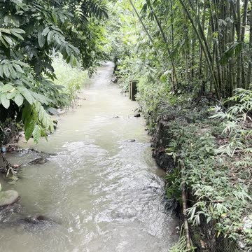 A Jungle River Flows through the Malaysian National Zoo, in Kuala Lumpar
