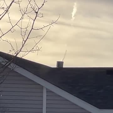 OMG! "Ok, so here’s what I just caught I few minutes ago out my window.