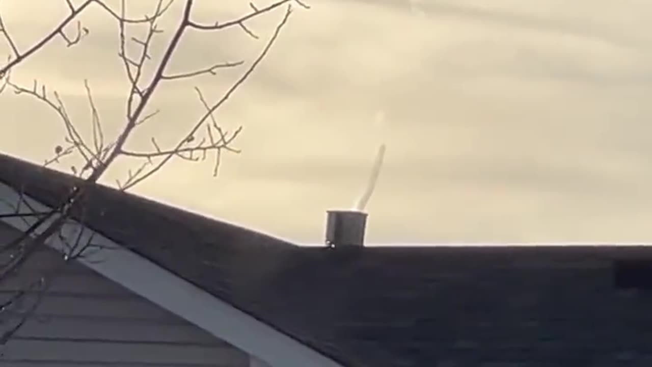 OMG! "Ok, so here’s what I just caught I few minutes ago out my window.