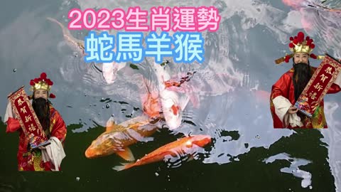 經營人生 2023生肖運勢 蛇馬羊猴