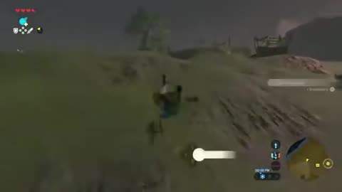 botw - pro expert bug catching move