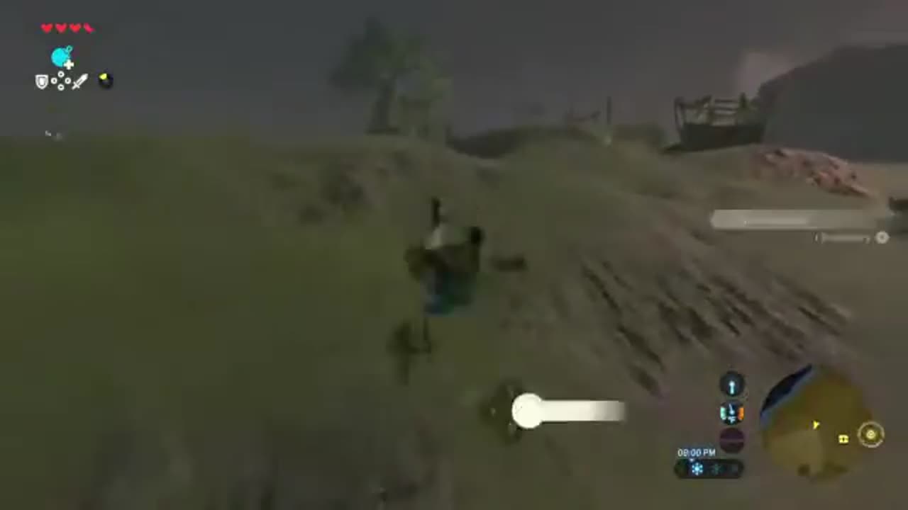 botw - pro expert bug catching move