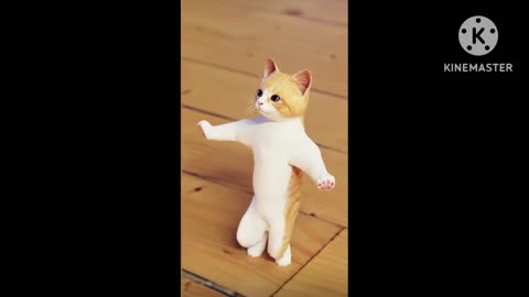 Dancing cat with Indian music