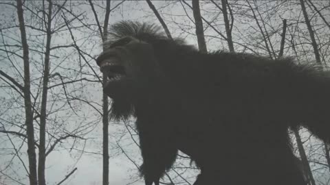 10 Encounters with Bigfoot