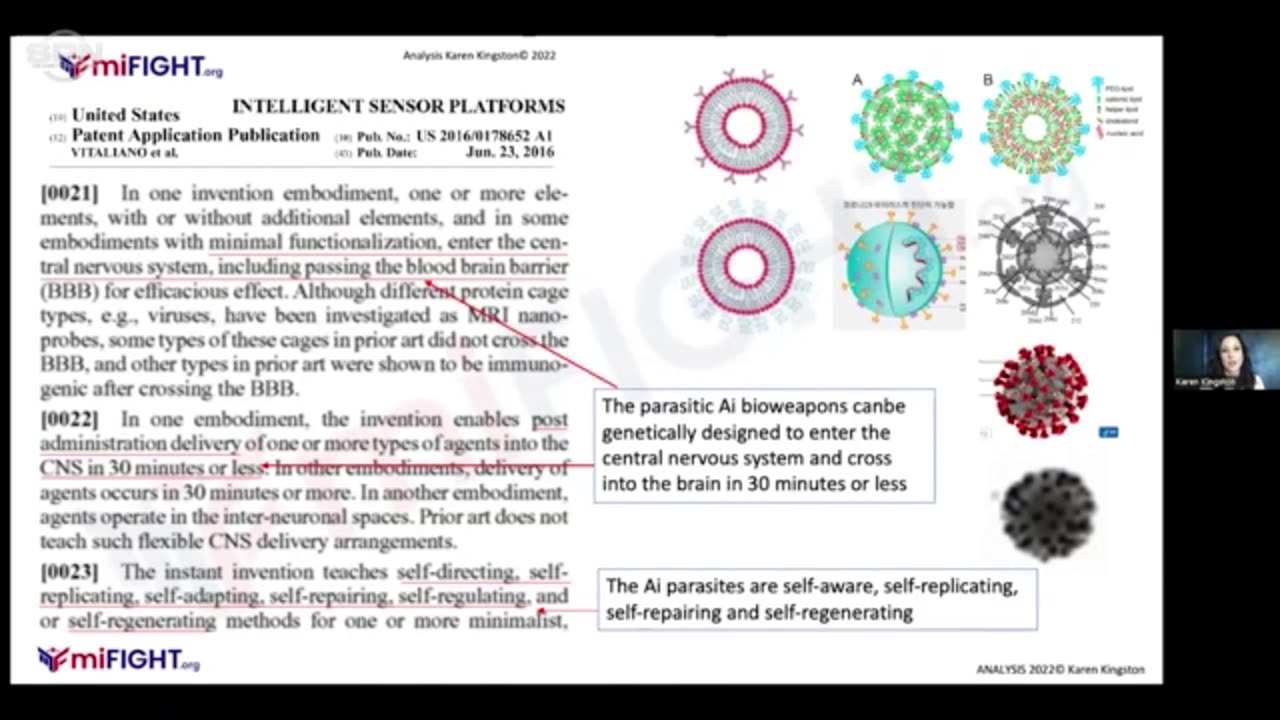 The CV19 circuit board and the WIFi mm wave dangers.