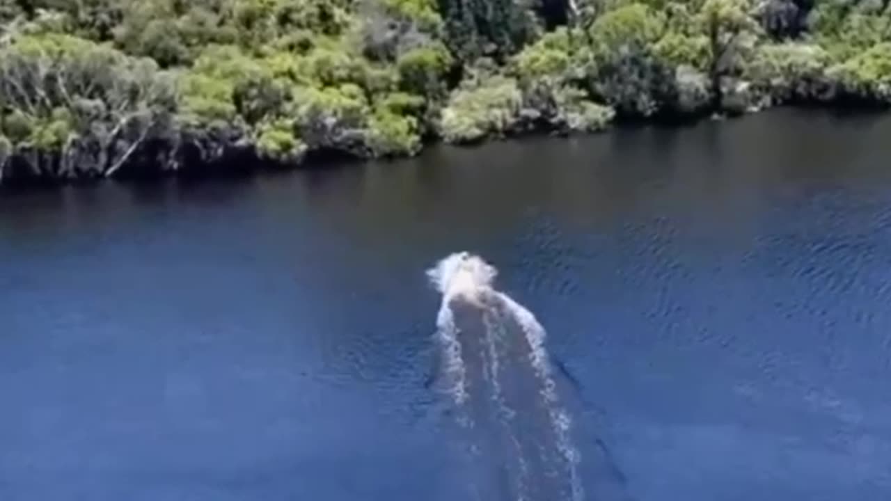 Attached with nature and feel the fun