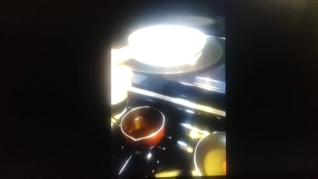 February/7/2023. by Jack the Irish wolfhound