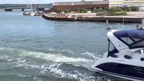 Jubilee Bank Holiday - Poole Quay (Boats heading to Sea)