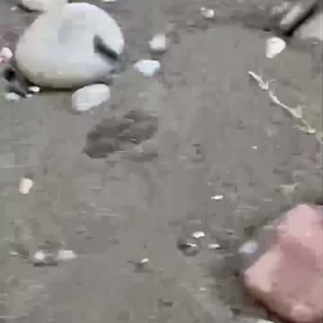 A Mine Detonates After Washing Up on a Beach in Batumi, Georgia