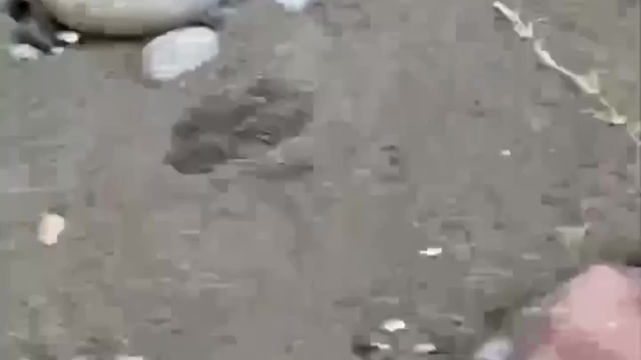 A Mine Detonates After Washing Up on a Beach in Batumi, Georgia