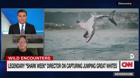 New heart-stopping footage of massive great white shark attack