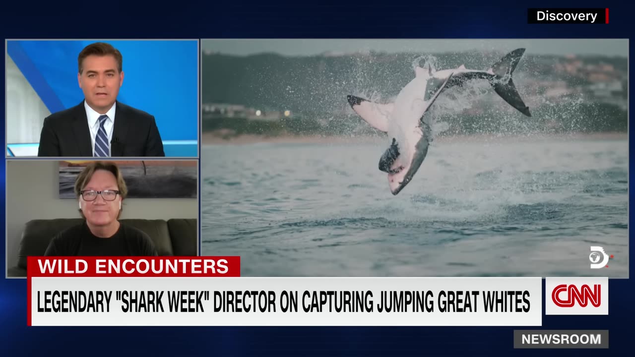 New heart-stopping footage of massive great white shark attack