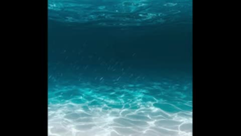 4 Hours of Peaceful Ocean Sounds for Intense Studying