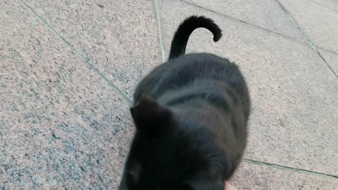 20240422 072047 Tux Approaching