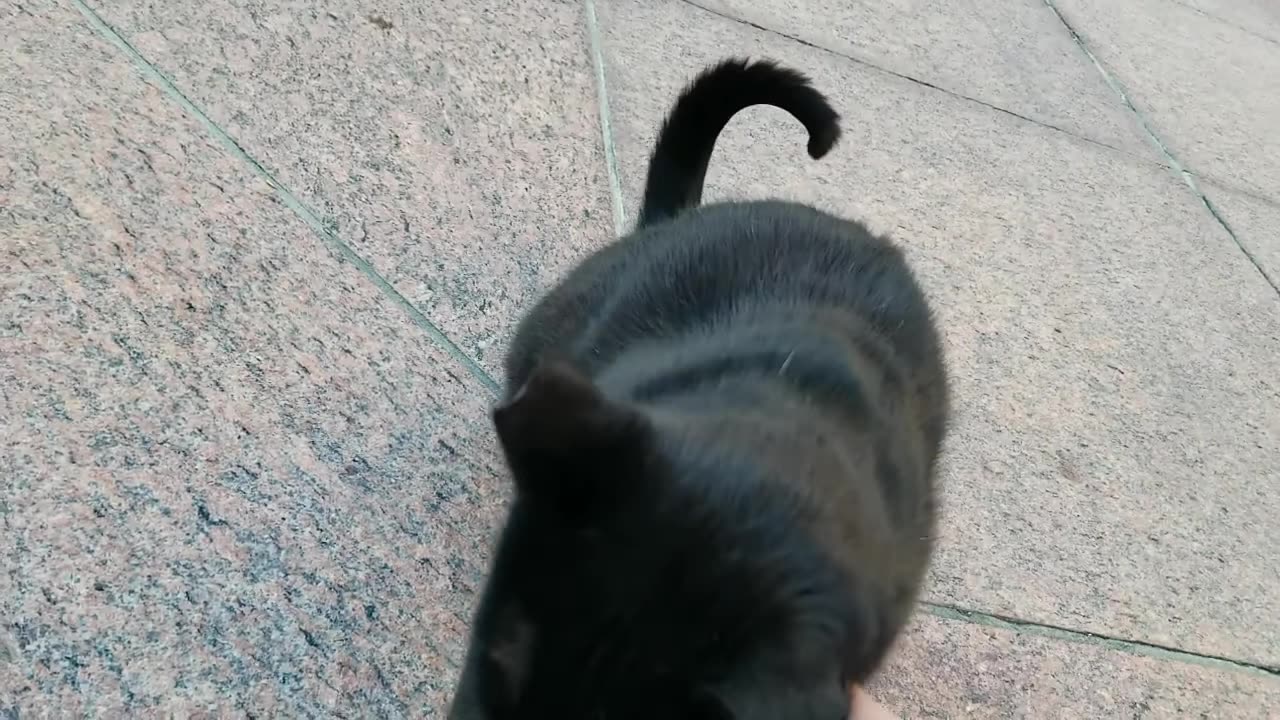 20240422 072047 Tux Approaching