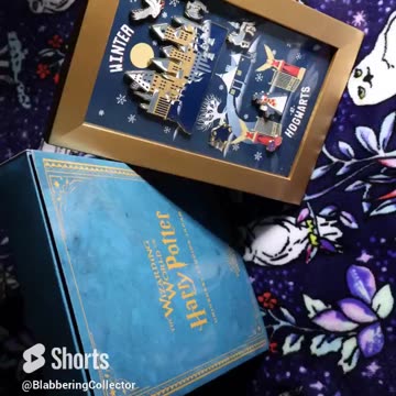 Universal Studios Japan Wizarding World Pin Set! #wizardingworld #universalstudios #universaljapan