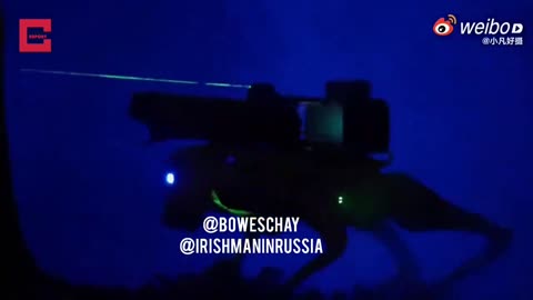 Meanwhile China are making an army Robot Dogs & training 6 year olds to use them.