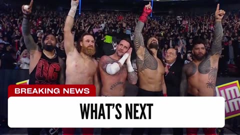 What Is Happening With The OG Bloodline After Survivor Series