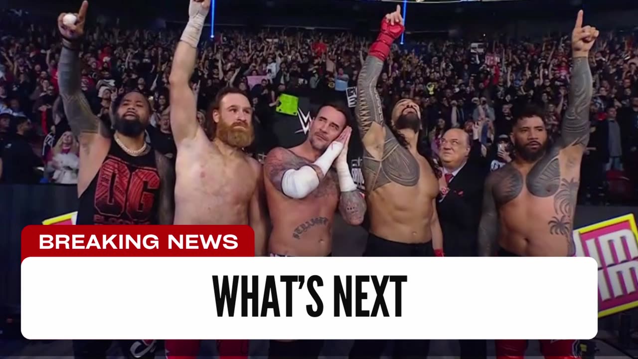 What Is Happening With The OG Bloodline After Survivor Series