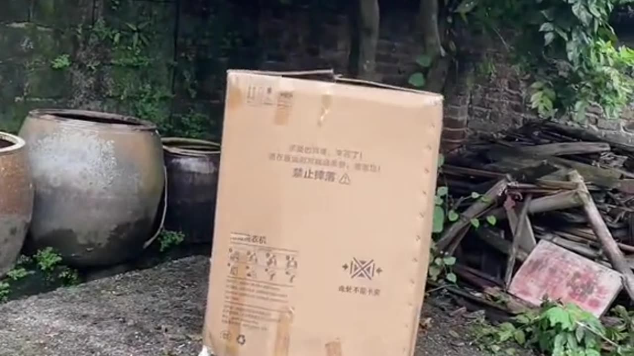 funny video watch till the end 😂😂